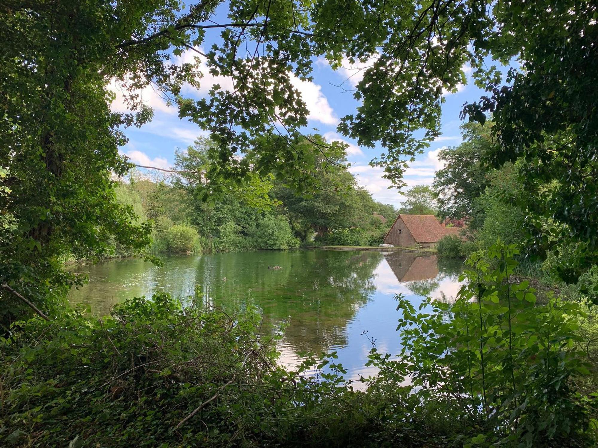Moorhen Cottage Hollingbourne Exteriér fotografie
